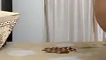 Sexy girl showing on vc