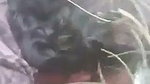 Sexy girlfriend enjoying with bf