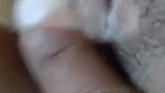 Sexy girlfriend fuck hard  show her pink pussy