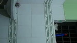 Sister show her boobs  pissing in bathroom