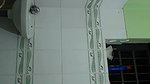 Sister show her boobs  pissing in bathroom