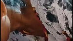 Assam aunty give Blowjob  showing pussy