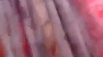 Girlfriend fucking in jungle with bf