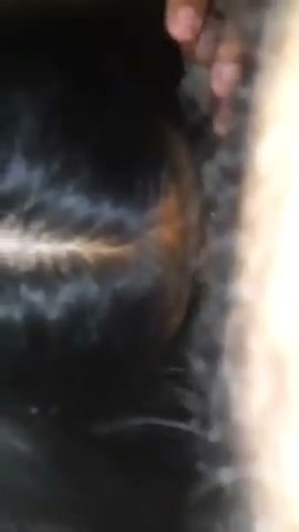 Frame 6