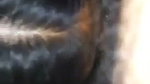 Sexy hot girl give nicely Blowjob
