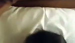 deep bj