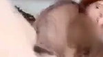 boob show on vc by aunty