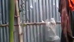 Beautiful hot girl showing her wet pussy