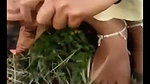 Bhabhi showing boobs outdoor  fuck