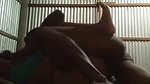 Big ass chachi fuck hard with nephew