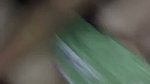 Nepali aunty fucking hard with lover