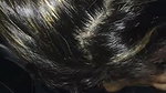 Indian GF Giving Big Head – Movies
