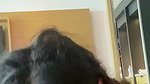 Mumbai girl giving Blowjob  cum on her face