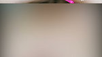 1000031341