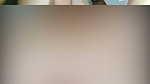 1000031341