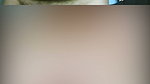 1000031341