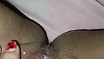 Babe Pressing Boobs And Fingering