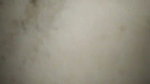 Beautiful GF Nude Captured And Doggy Fucked By BF
