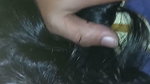 Horny GF Doggy Fucking