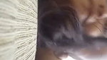 Hot Sexy girl fucking