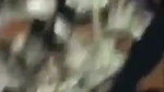 Muslim lady giving Blowjob