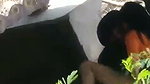 Boyfriend caught his gf with sardar