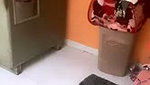 Aayushi full nude  Stripchat