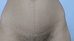noorkhatoon Stripchat