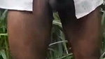 Aunty undress  fuck with lover in open field