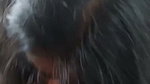 Hot GF blowjob