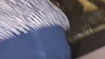 slim sexy girlfriend 1