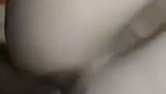 Babe Sucking And Fucking with Husband