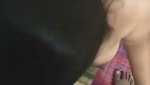 Beautiful Bhabhi Giving Desi Sex
