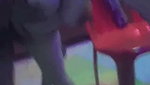 Chubby Mumbai Boudi Boss Fucking Hard Standing