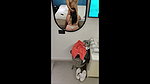 Desi Chubby Office Girl Office Strip Hotel