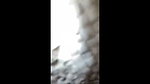 Haryanvi Couple Blowjob Hard Fucking With Bf