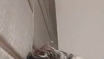 Horny Lover Fucking In Hotel