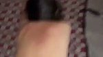 Hot Sexy Indian Gf Blowjob Hard Doggy Fucking