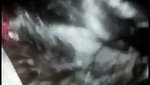 Malayalam Hot Babe Riding On Dick In Hotel Room