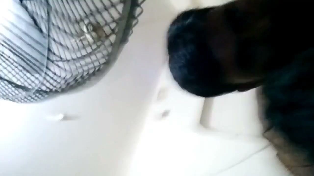 Frame 10