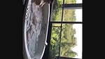 Sri Lankan Famous Couple Having Fun