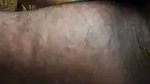 Village Young Collage Girl Fucked Her Cousin