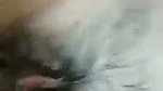Young Babe Uncut Pussy Fucked By Boyfriend