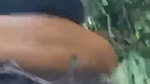 Assamese sex in jungle