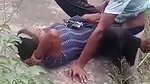 jungle caught sex