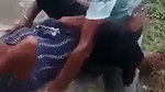 jungle caught sex