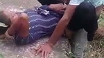 jungle caught sex