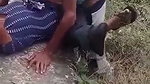 jungle caught sex