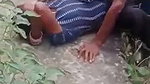 jungle caught sex