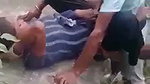 jungle caught sex